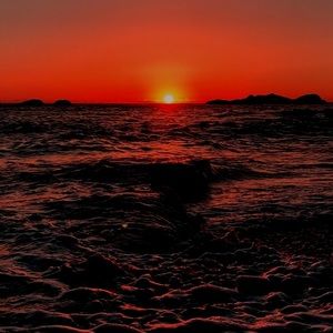 Meet your Posher, Chloe